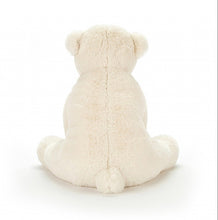 Load image into Gallery viewer, Polar TEDDY
